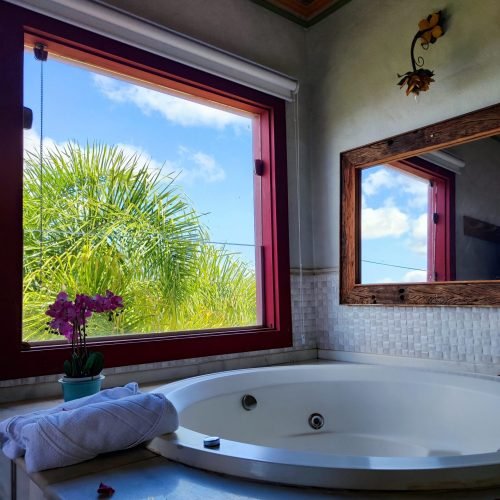 IMG_20221118_143116 (1)